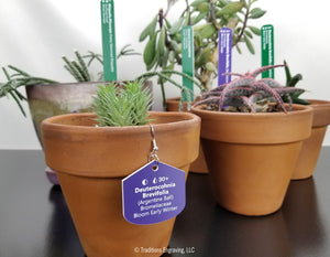 Engraved Plastic Plant Markers