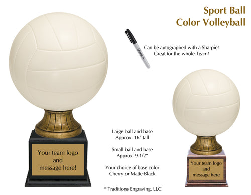 Realistic Color Resin Volleyball